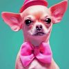 Pink Chihuahua Dog Paint By Numbers