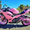 Pink Motorcycle Paint By Numbers