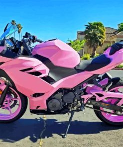 Pink Motorcycle Paint By Numbers