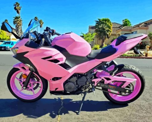 Pink Motorcycle Paint By Numbers