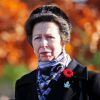 Princess Anne Paint By Number