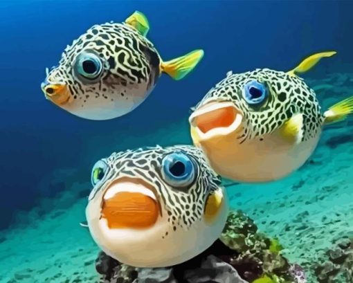 Puffer Fish Paint By Number