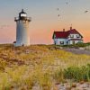 Race Point Lighthouse Paint By Number