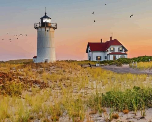 Race Point Lighthouse Paint By Number