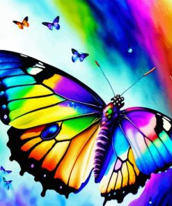 Rainbow Butterfly Paint By Number