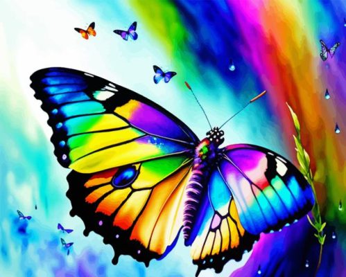 Rainbow Butterfly Paint By Number