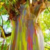 Rainbow Eucalyptus Paint By Numbers
