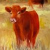 Red Cow Paint By Number