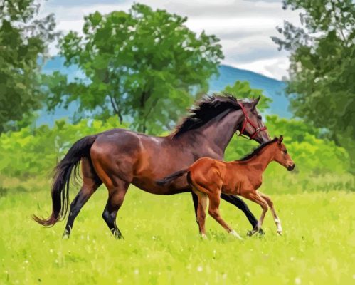 Red Horse With Foal Paint By Numbers