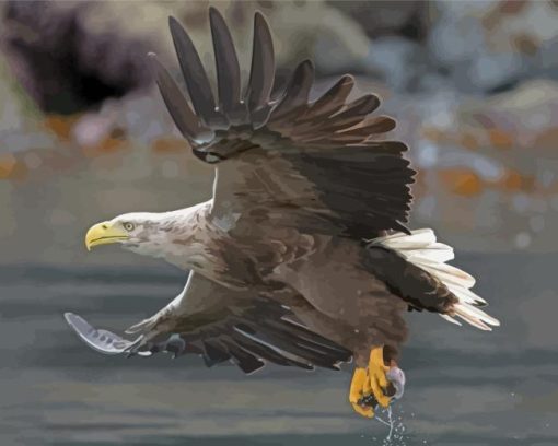 Sea Eagle Catching Fish Paint By Number