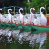 Swan Boats Paint By Numbers