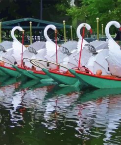Swan Boats Paint By Numbers