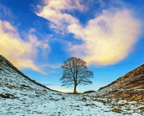 Sycamore Gap Paint By Numbers