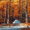 Tent Camping In The Fall Paint By Numbers