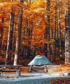 Tent Camping In The Fall Paint By Numbers