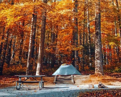 Tent Camping In The Fall Paint By Numbers