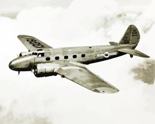 The Douglas DC 3 Paint By Numbers