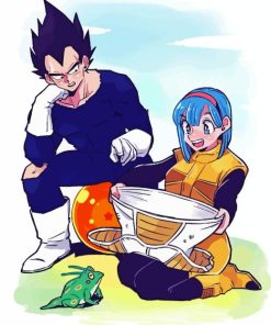 Vegeta And Bulma Paint By Numbers