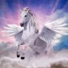 White Flying Horse Paint By Numbers