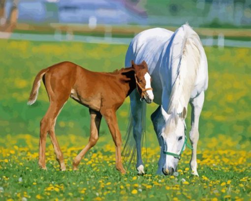 White Mare And Foal Paint By Number