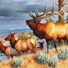 Wild Elk Herd Animals Paint By Numbers