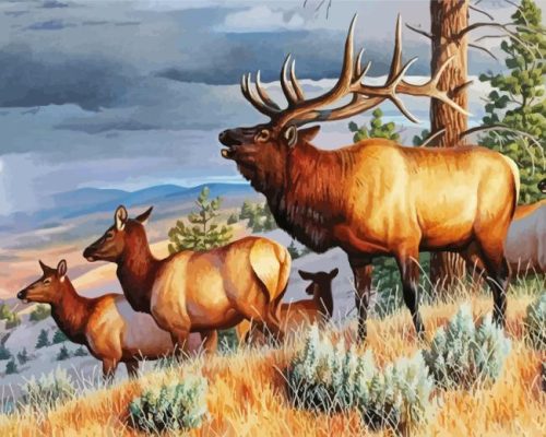 Wild Elk Herd Animals Paint By Numbers