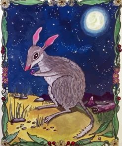 Wild Bilby Paint By Numbers