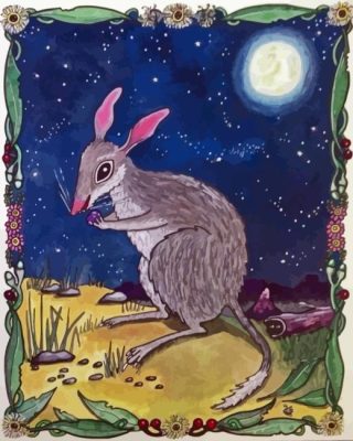 Wild Bilby Paint By Numbers