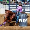 Barrel Racer Paint By Number