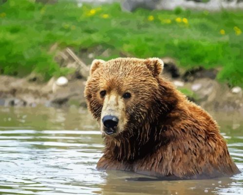 Kodiak Bear Paint By Number