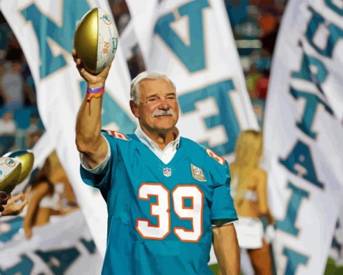 Larry Csonka Paint By Numbers