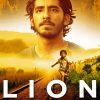 Lion Movie Paint By Numbers