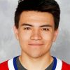 Nick Suzuki Paint By Number