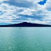 Rangitoto Island Paint By Numbers