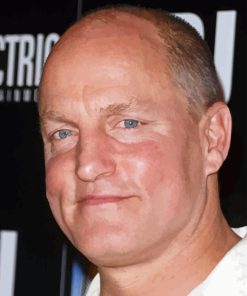The Actor Woody Harrelson Paint By Number
