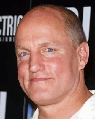 The Actor Woody Harrelson Paint By Number