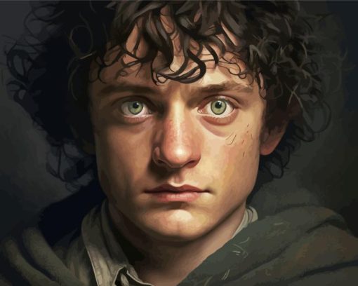 The Hobbit Frodo Baggins Paint By Numbers