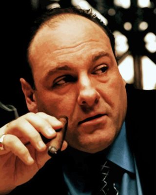 Tony Soprano Paint By Number