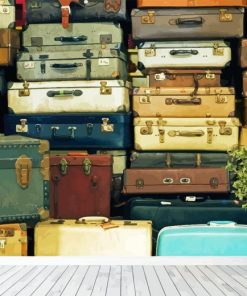 Vintage Suitcases Paint By Numbers