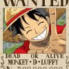 Wanted Luffy Poster Paint By Numbers