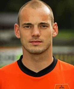 Wesley Sneijder Paint By Number