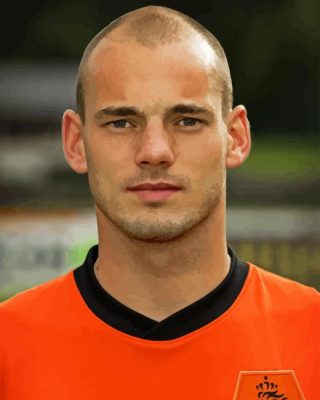 Wesley Sneijder Paint By Number