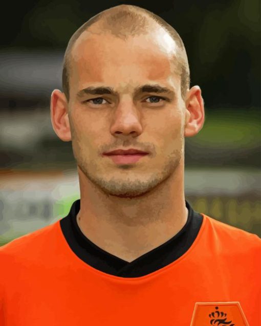 Wesley Sneijder Paint By Number