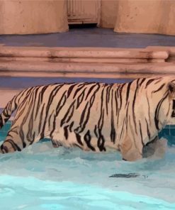 White Tiger In Pool Paint By Numbers