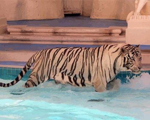 White Tiger In Pool Paint By Numbers