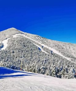Whiteface Mountain Paint By Number