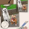Paint By The Numbers Custom Pets