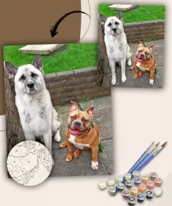 Paint By The Numbers Custom Pets