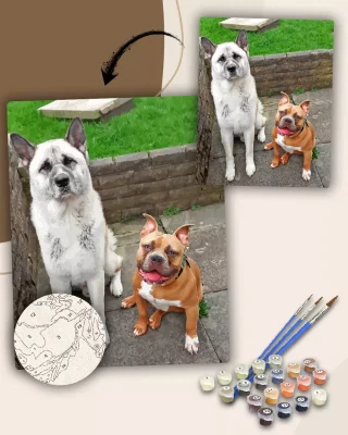 Paint By The Numbers Custom Pets