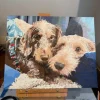 Paint By The Numbers Custom Pets gall 3